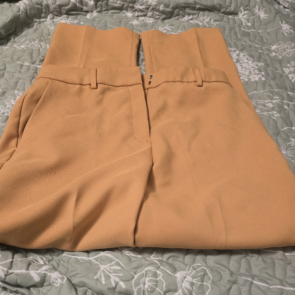 NWOT Express Stylish High-Waisted Pants